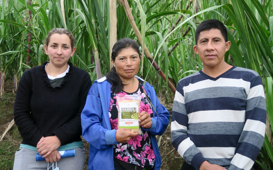 Empoderamiento socioeconómico de mujeres rurales en Cotopaxi, Ecuador