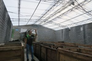 Trabajadora de Oro Verde muestra el nuevo módulo de fermentación de cacao