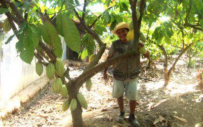 Apostando por la formación de las generaciones jóvenes y el cooperativismo para para asegurar el futuro sostenible de la agricultura familiar.