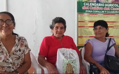 Conoce a Delicia, María y Natividad, 3 mujeres productoras de Cacao socias en la cooperativa CEPROAA