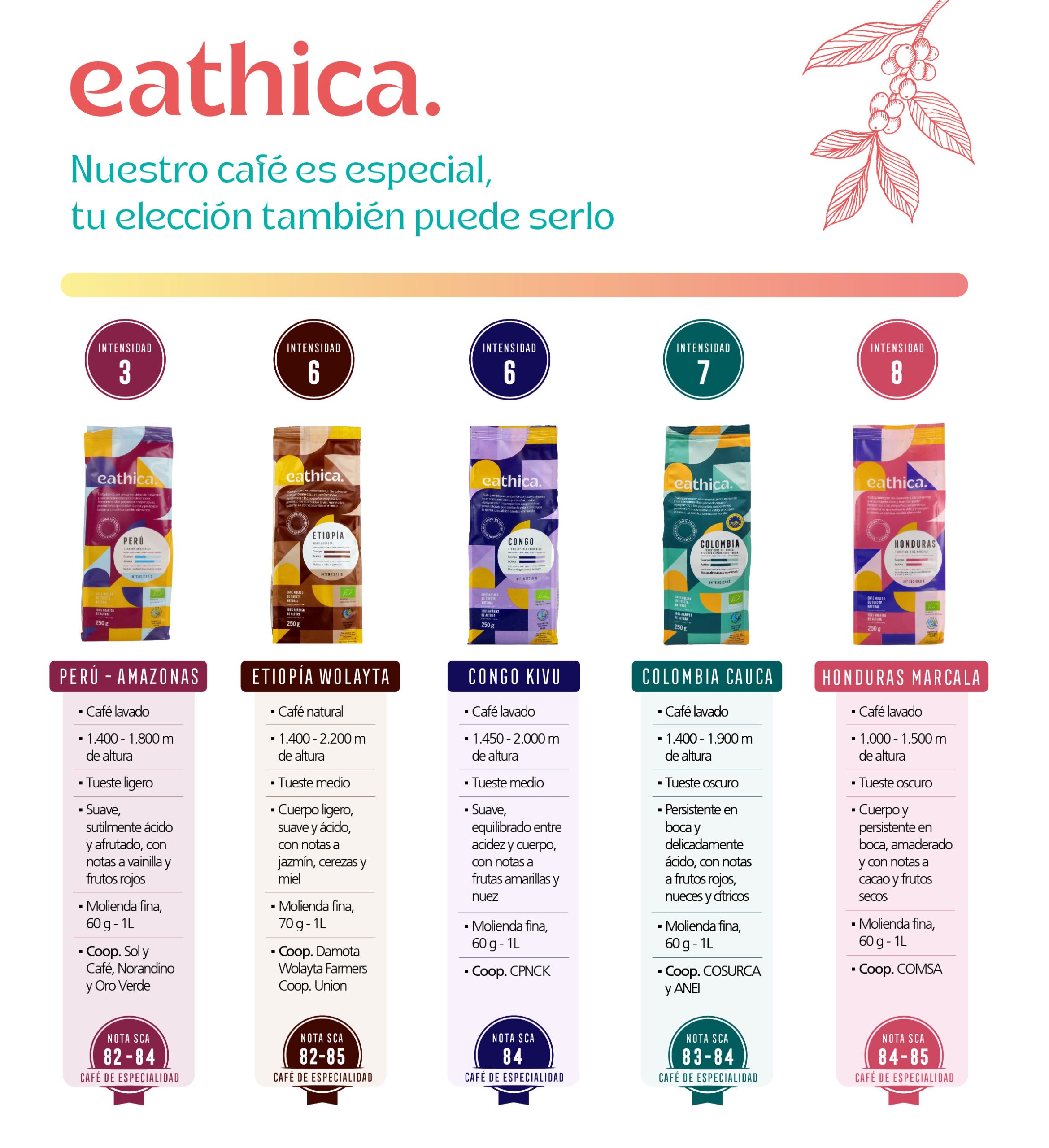 Catálogo café de Comercio Justo y Agricultura Ecológica