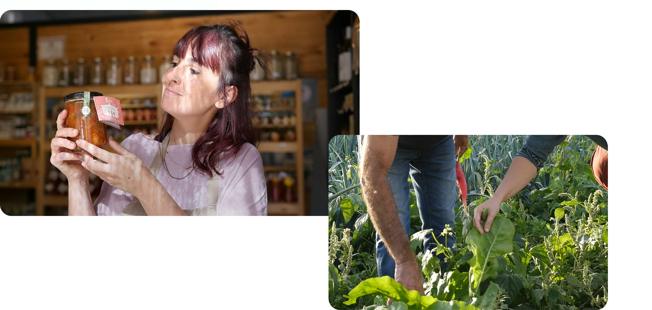Productores/as eathica Productores/as eathica